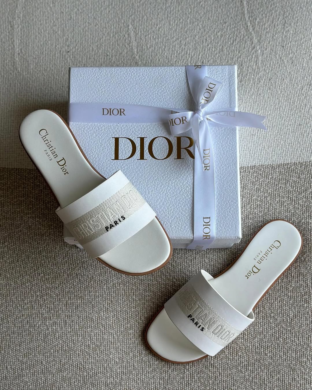 Dior Elegant Slipper Flats