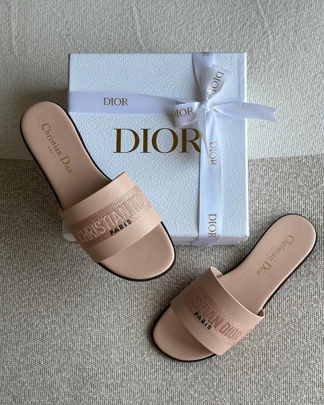 Dior Elegant Slipper Flats