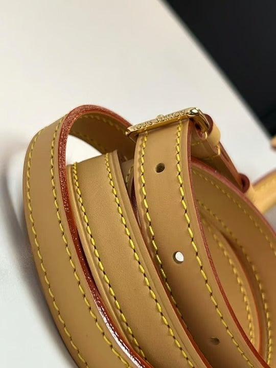 Designers Nano Speedy Bag